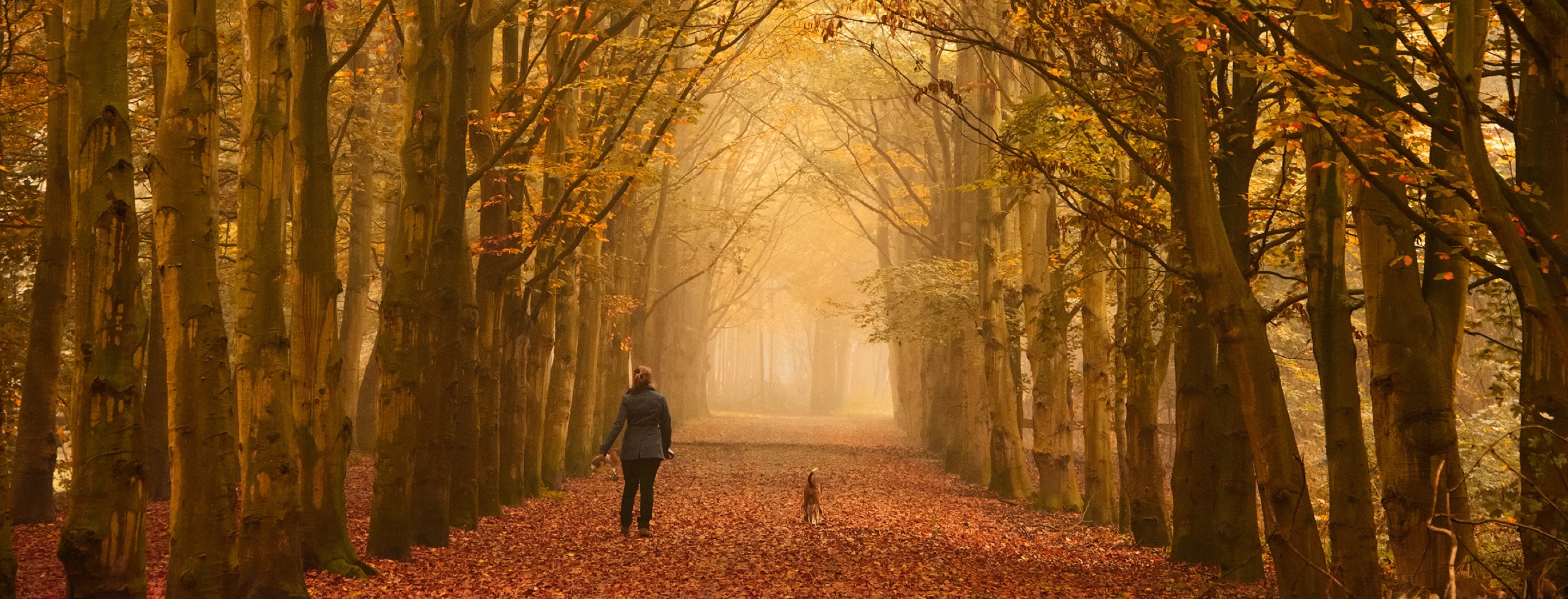 Verkoudheid in herfst